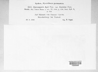 Image Associated With the Occurence